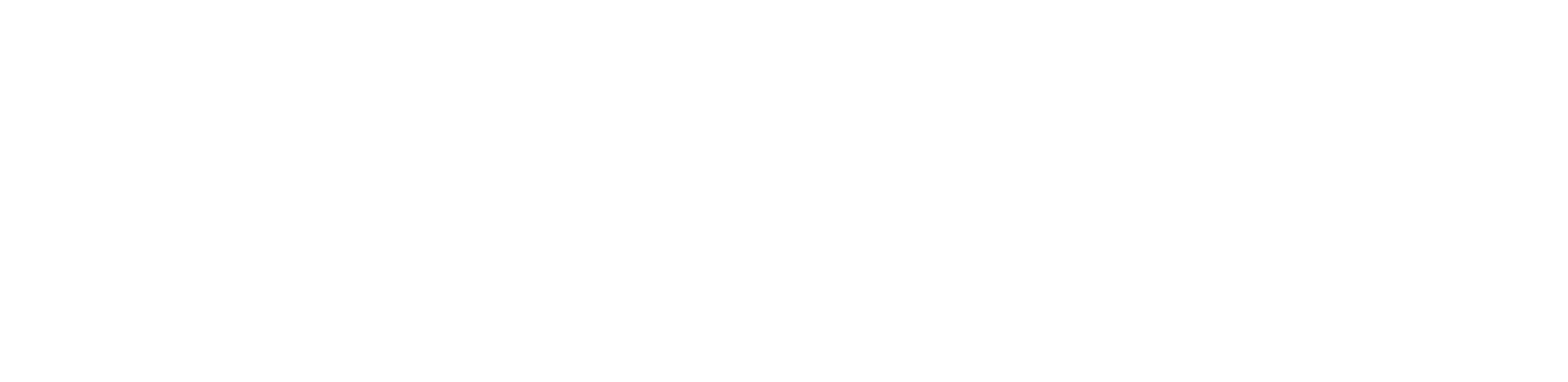 Echelan Logo